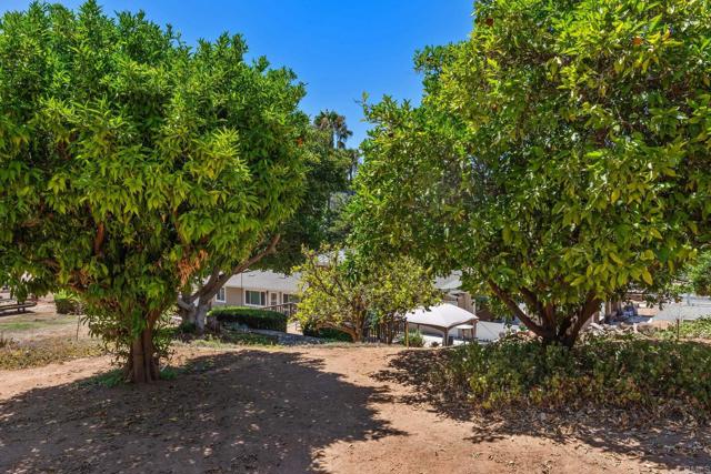 Detail Gallery Image 50 of 69 For 11549 Manzanita Rd, Lakeside,  CA 92040 - 3 Beds | 3 Baths