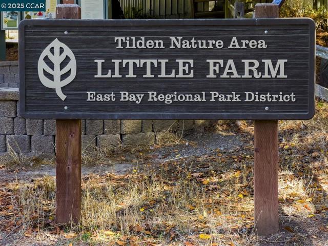 1511 Olive Ave, Richmond CA: https://media.crmls.org/mediaz/8f0a09aa-18d0-4531-88f8-d842cdecb642.jpg