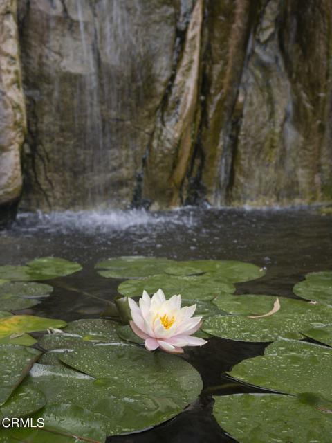 Detail Gallery Image 5 of 19 For 921 Chapea Rd, Pasadena,  CA 91107 - 5 Beds | 6/1 Baths