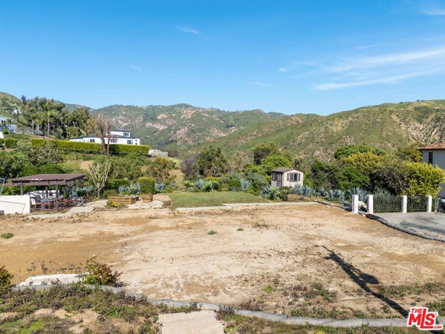 21535 Deerpath Lane photo 8