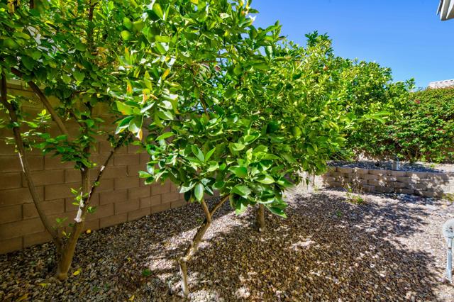 78680 Alliance Way, Palm Desert CA: https://media.crmls.org/mediaz/8f11e573-aed2-4017-ac2c-ae0458c10e1c.jpg