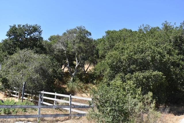 0 Alexander Lane, San Juan Bautista CA: https://media.crmls.org/mediaz/8f1493de-c830-41a1-9076-47f60c86ac05.jpg