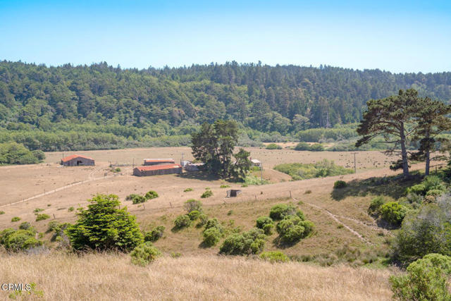 Detail Gallery Image 48 of 55 For 43001 Mountain View Rd, Manchester,  CA 95459 - – Beds | – Baths