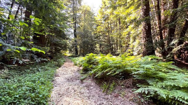 3675 Bonny Doon Road, Santa Cruz CA: https://media.crmls.org/mediaz/8f1e71bf-b6d8-46dc-b985-6ddfcbf3b641.jpg