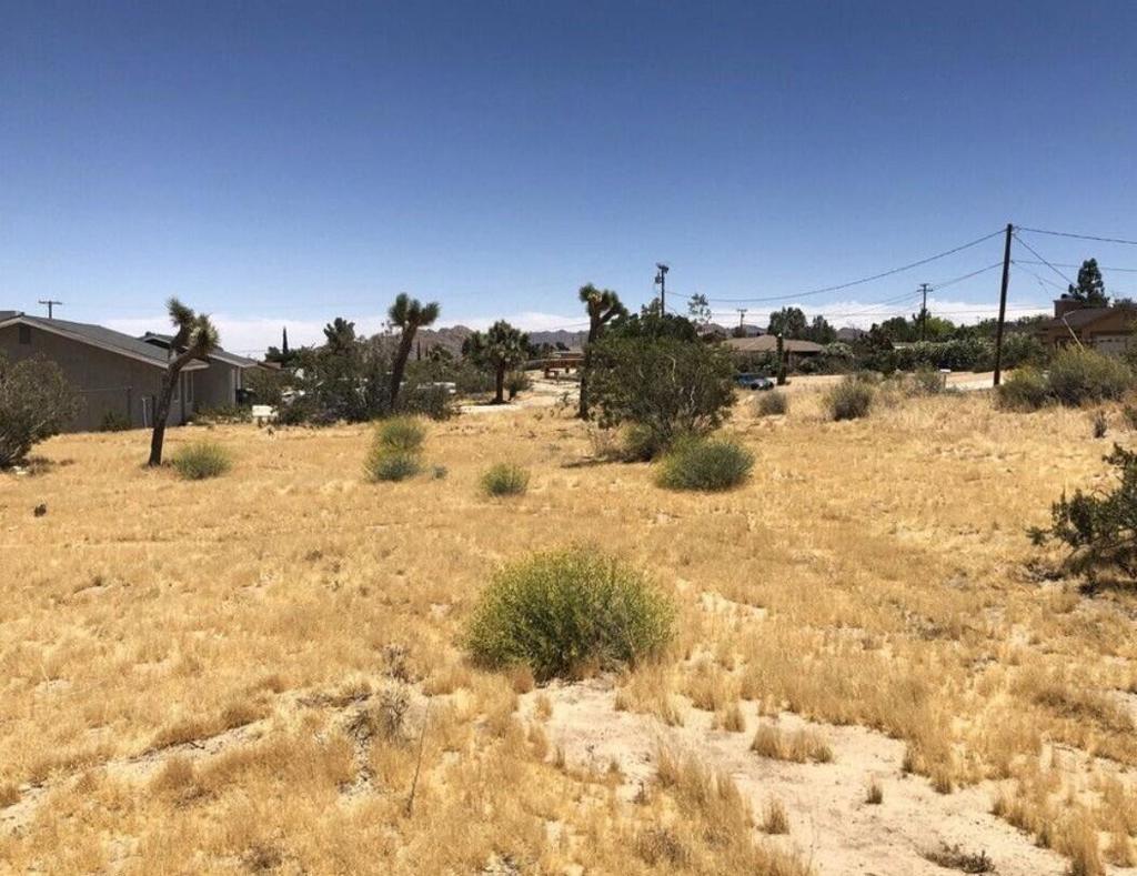 MLS #219139119PS image #12