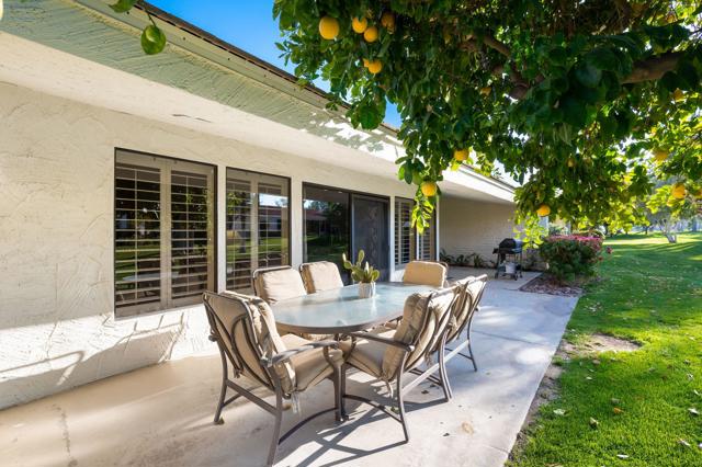 43-web-or-mls-DKDelDiosCir_2022_043