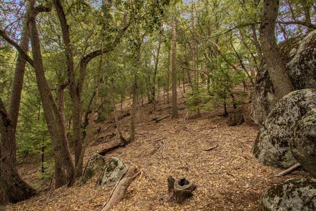 Detail Gallery Image 30 of 36 For 21932 Crestline Rd, Palomar Mountain,  CA 92060 - 1 Beds | 1 Baths