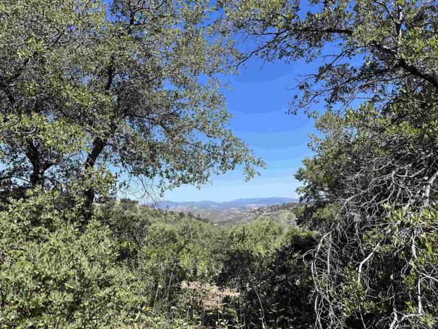 3890 Eagle Ridge, Julian CA: https://media.crmls.org/mediaz/8f3d51f1-0e64-41e2-8328-46b924375102.jpg