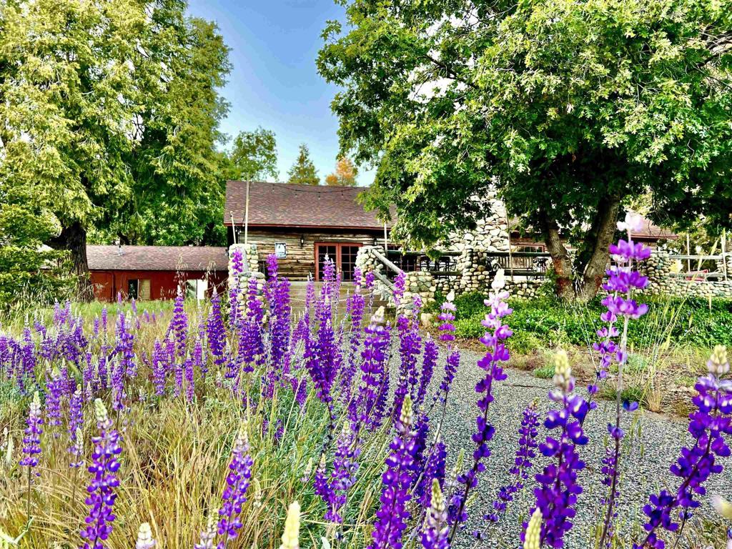 22228 Crestline Road