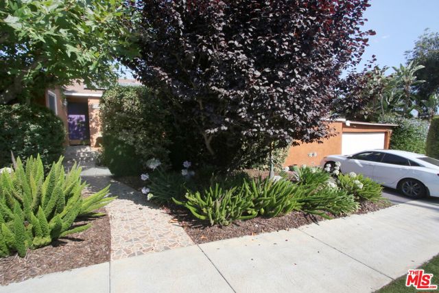 1807 Cochran Place, Los Angeles CA: https://media.crmls.org/mediaz/8f442d83-19cc-4415-8544-8274b7309f05.jpg