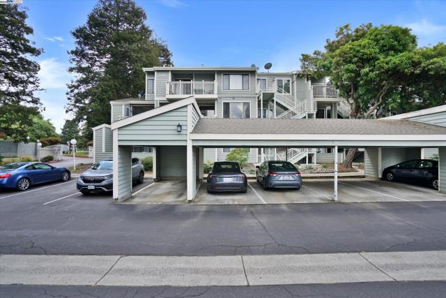3402 Pinewood Ter, Fremont CA: https://media.crmls.org/mediaz/8f482342-7e78-404d-a3c2-afd307760370.jpg