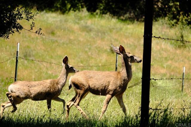Image 8 of 31 For 3510 Deer Lake Park Road