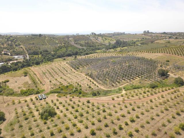 Front Image Thumbnail for CRNDP2508696