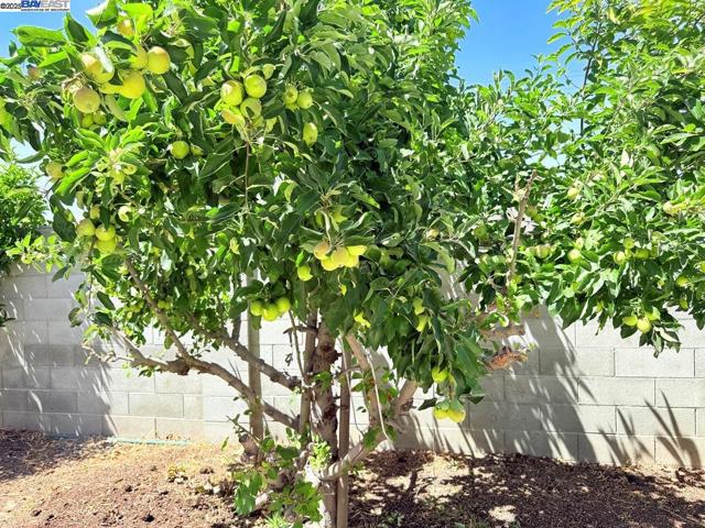 1322 Emerson Dr, Pittsburg CA: https://media.crmls.org/mediaz/8f5bcadb-42f8-4f0f-84e4-16807eb56084.jpg