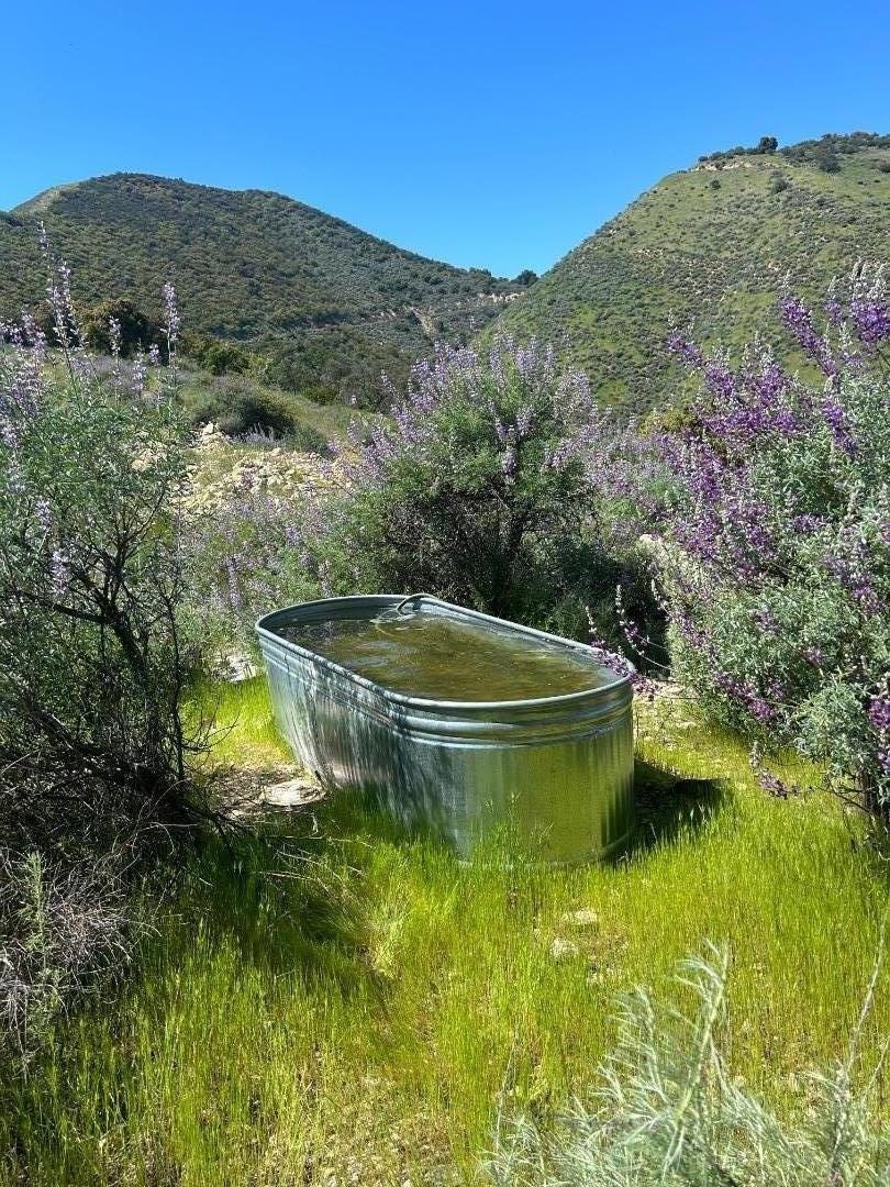 MLS #ML81963219 image #3