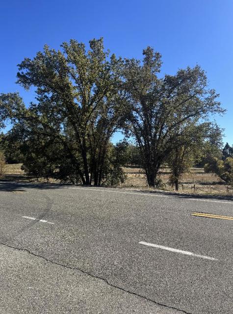 2795 State Highway 49, Mariposa CA: https://media.crmls.org/mediaz/8f658b84-7a10-4b4a-aa38-b28899c9deb5.jpg