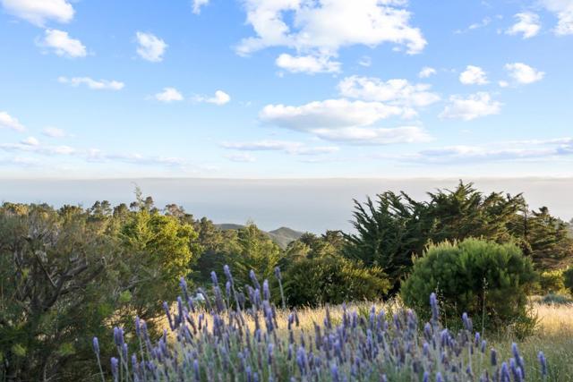9265 Sycamore Canyon Road, Big Sur CA: https://media.crmls.org/mediaz/8f6ff9fc-f044-4b26-b3f4-f9bcb0b9d0c8.jpg