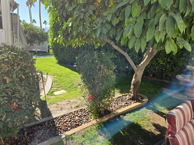 69411 Ramon Road, Cathedral City CA: https://media.crmls.org/mediaz/8f792d51-745a-4c8a-bcfc-5f6e50199251.jpg