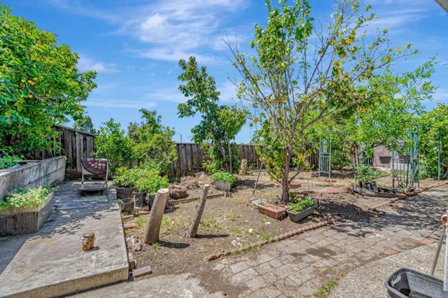 4763 Plainfield Drive, San Jose CA: https://media.crmls.org/mediaz/8f7cd49a-d080-4167-968c-490b99fb44eb.jpg