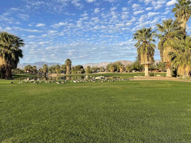 1010 Palm Canyon Dr., Borrego Springs, California 92004, 2 Bedrooms Bedrooms, ,2 BathroomsBathrooms,Residential,For Sale,Palm Canyon Dr.,250000967SD