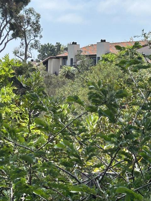 2146 Valleydale Lane, Encinitas CA: https://media.crmls.org/mediaz/8f9da481-267d-4f32-a502-c3538868e749.jpg