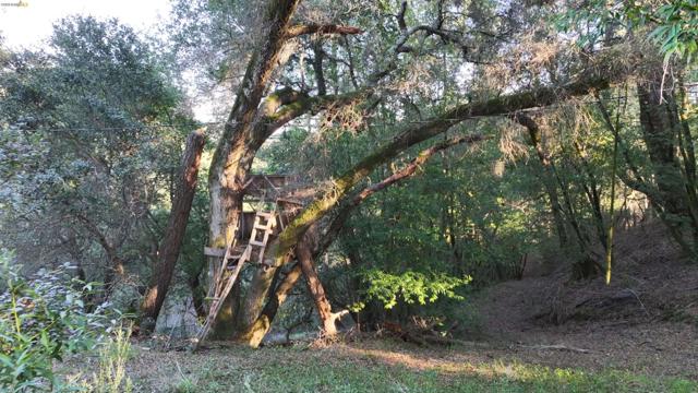 5051 Harrison Grade Rd, Sebastopol CA: https://media.crmls.org/mediaz/8fa091f4-bdc5-4d3f-8ff8-ab4e8f39d76b.jpg