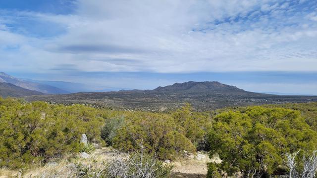 0 Palace Drive, Mountain Center CA: https://media.crmls.org/mediaz/8fa27487-7d11-41fe-8931-ffb67440c70e.jpg