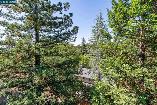 1149 Camino Vallecito, Lafayette CA: https://media.crmls.org/mediaz/8fb04701-9b48-43b1-94c7-d4919ceb9164.jpg
