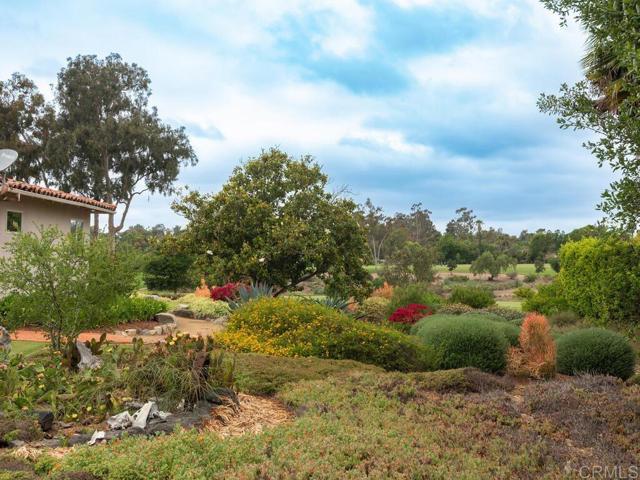 6418 Paseo Delicias, Rancho Santa Fe CA: https://media.crmls.org/mediaz/8fb9b5ac-15a5-46aa-87ca-d272d1b1611e.jpg