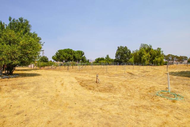 6460 Cabernet Drive, Hollister CA: https://media.crmls.org/mediaz/8fc2ab17-8685-43d9-829c-3a2f85d5f9b7.jpg