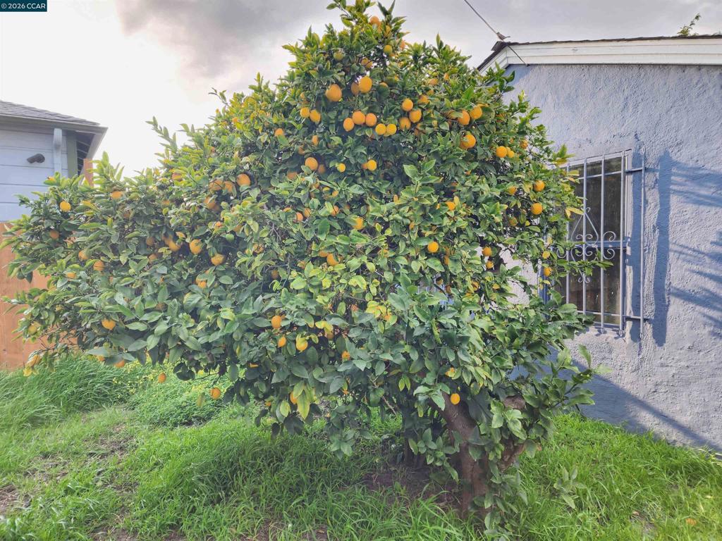 https://media.crmls.org/mediaz/8fcd80be-ccdf-4cbd-b9a0-0cf5800a24e4.jpg?preset=X-Large
