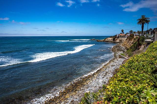 Detail Gallery Image 36 of 36 For 5556 Calumet Ave, La Jolla,  CA 92037 - 3 Beds | 3/1 Baths