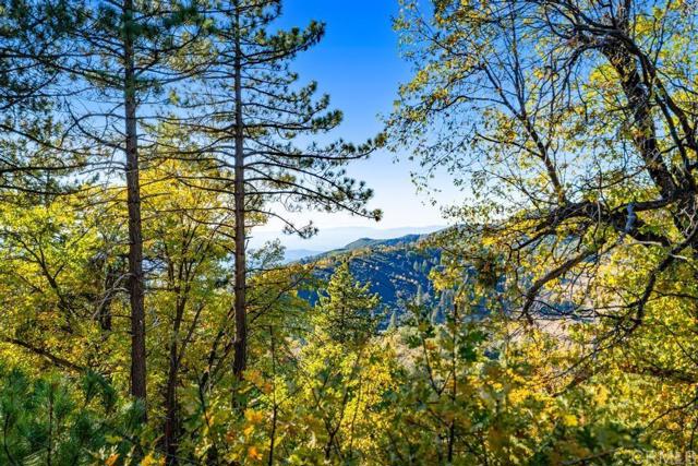 Detail Gallery Image 16 of 33 For 0 State Park Rd, Palomar Mountain,  CA 92060 - – Beds | – Baths