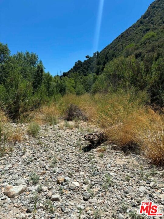 0 Stonyvale, Tujunga CA: https://media.crmls.org/mediaz/8fdf1e40-f11d-42aa-a4d2-9006d94f0dab.jpg