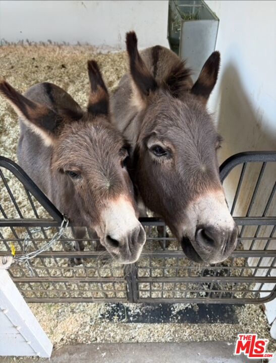 6052 Merritt Drive, Malibu CA: https://media.crmls.org/mediaz/8fe27d45-e8bd-4f83-a287-a0b87f24850b.jpg