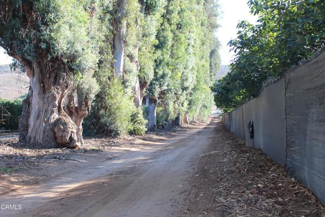 Detail Gallery Image 8 of 32 For 1672 E Los Angeles Ave, Somis,  CA 93066 - – Beds | – Baths