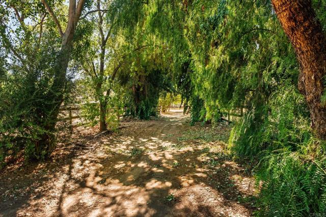 Detail Gallery Image 51 of 57 For 19010 Paradise Mountain Road, Valley Center,  CA 92082 - 3 Beds | 2 Baths