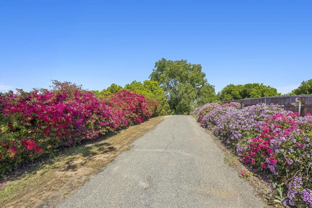Detail Gallery Image 3 of 53 For 3016 Alta Vista Dr, Fallbrook,  CA 92028 - 3 Beds | 3/1 Baths