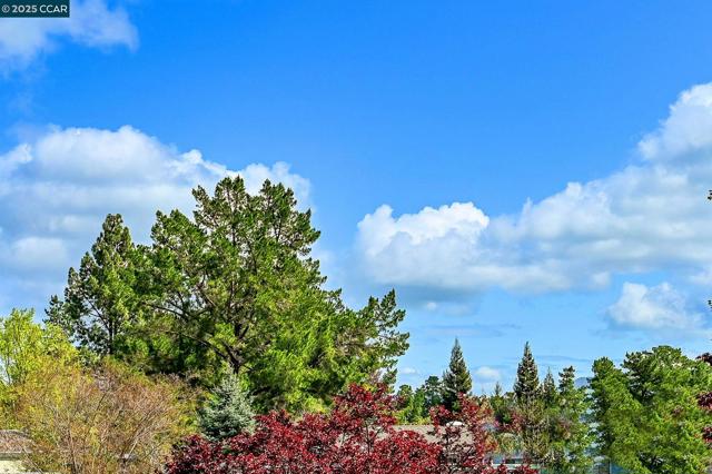 1549 Oakmont Dr, Walnut Creek CA: https://media.crmls.org/mediaz/8feea68f-29b6-4519-b1a2-8a187bd6b2ff.jpg