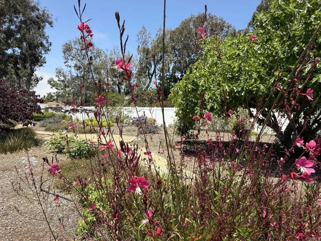 3923 San Pablo Avenue, Oceanside CA: https://media.crmls.org/mediaz/8ff3df9a-a756-4bfd-8d83-90f041e4f017.jpg