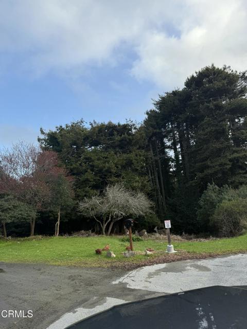 596 S Sanderson Way, Fort Bragg CA: https://media.crmls.org/mediaz/8ff502f4-2f08-4ab6-a1a1-b8ea9b0703d4.jpg