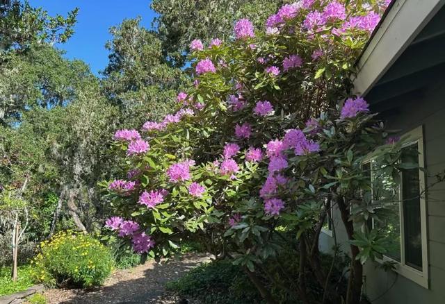 25349 Flanders Drive, Carmel CA: https://media.crmls.org/mediaz/8ffc7c36-cb7d-4457-aa33-57471659957f.jpg