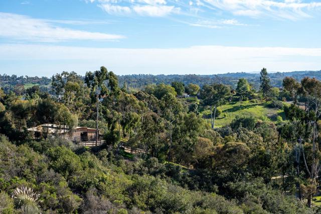 Detail Gallery Image 65 of 75 For 7992 Paseo Esmerado, Carlsbad,  CA 92009 - 5 Beds | 6/1 Baths