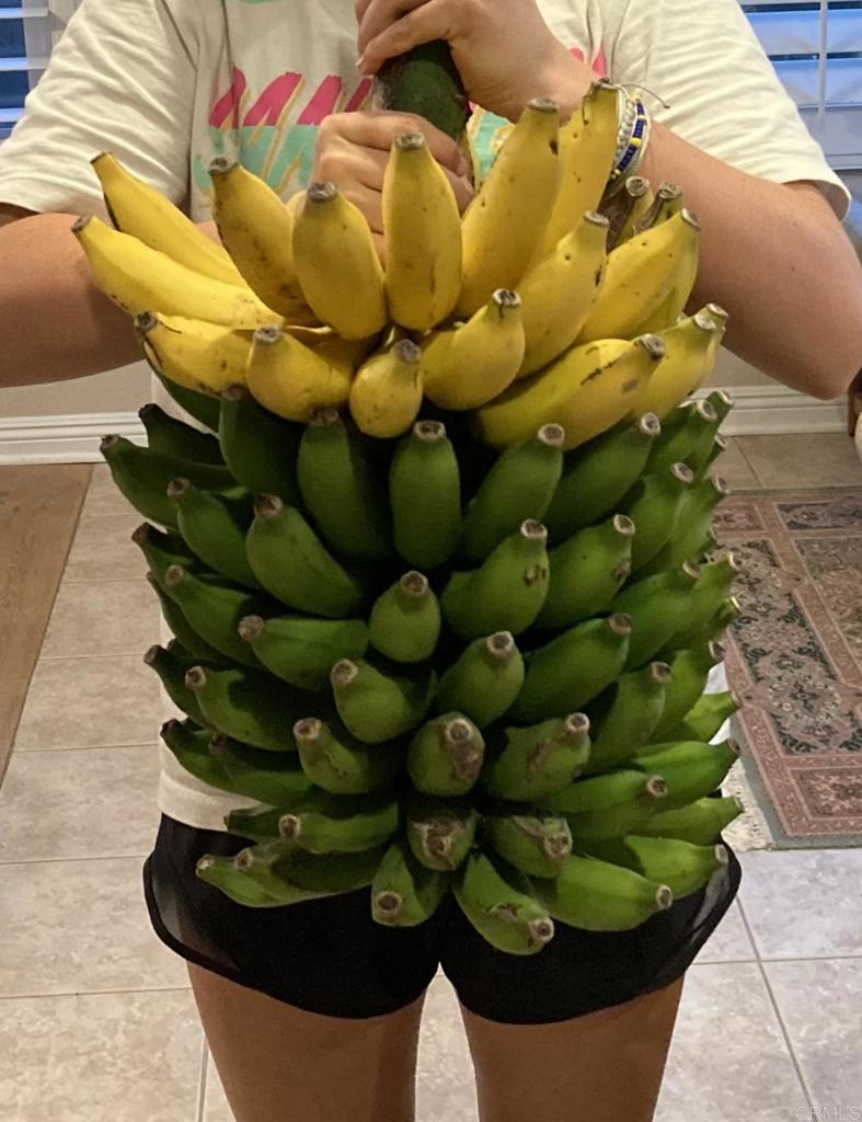 https://media.crmls.org/mediaz/90084d81-f6f7-4596-a011-9a32e28524a4.jpg?preset=X-Large