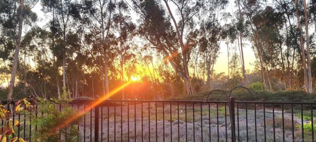 10878 Caminito Colorado, San Diego CA: https://media.crmls.org/mediaz/9008f105-258e-4785-b322-eb0444ee30a3.jpg