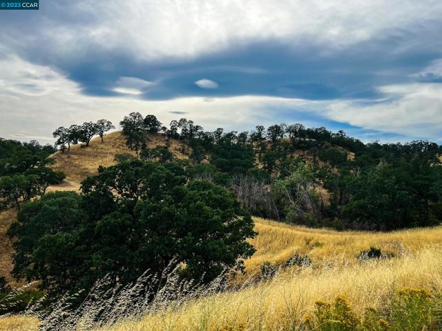 0 Lot 22 Rolling Oaks, Cottonwood CA: https://media.crmls.org/mediaz/900b9d8e-3a1b-454e-a290-9572c669ad4d.jpg