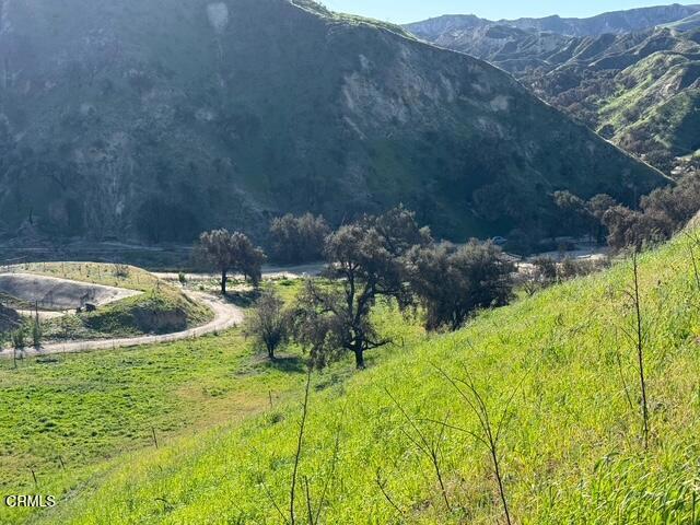 Detail Gallery Image 5 of 27 For 31029 Hasley Canyon Rd, Castaic,  CA 91384 - – Beds | – Baths