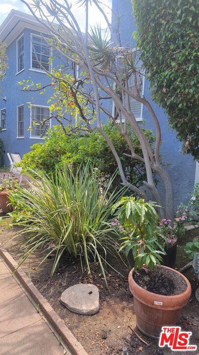 1137 26th Street, B photo 5