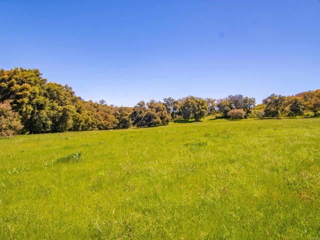Detail Gallery Image 5 of 42 For 342 Acres Mesa Grande Rd, Santa Ysabel,  CA 92070 - – Beds | – Baths