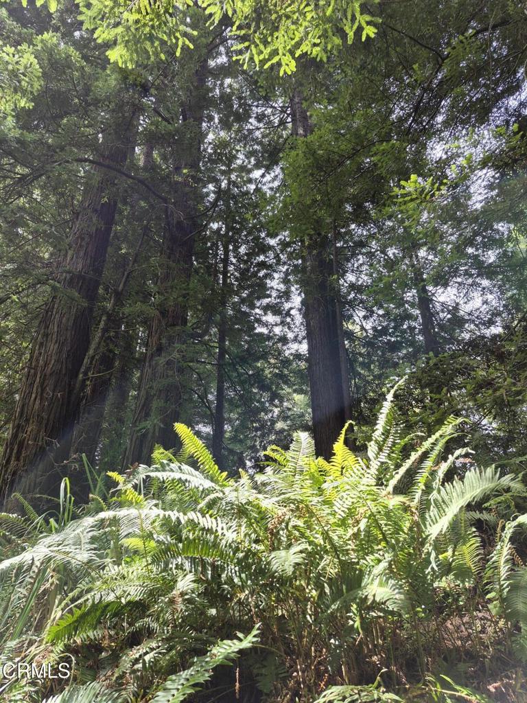https://media.crmls.org/mediaz/901927dc-bf0f-4dea-a57b-a58c5e0668cc.jpg?preset=X-Large